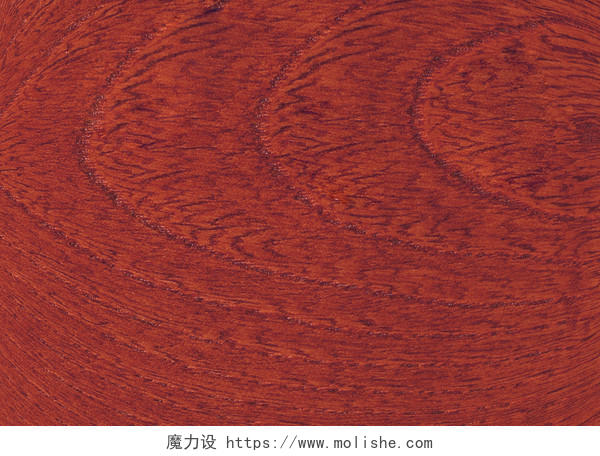 实木木纹木板纹路纹理实木素材木皮木纹纸渲染贴图红木家私纹路